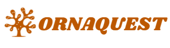Ornaquest
